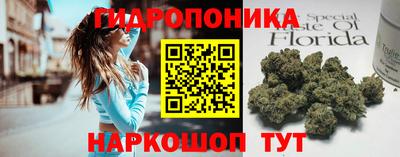 крисы Волжск