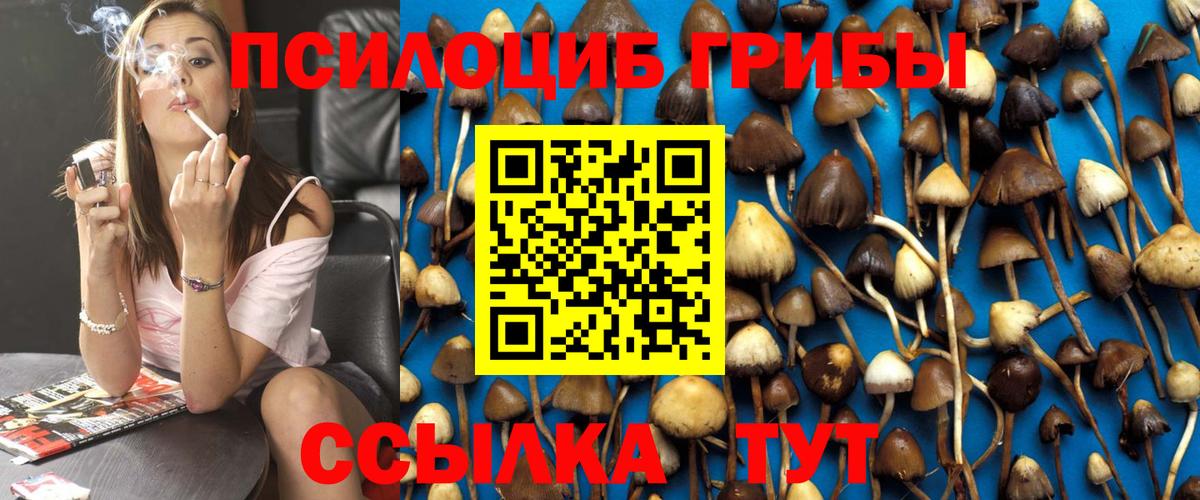 Галлюциногенные грибы Psilocybe  Вход с VPN  Малгобек  купить наркотики цена  Псилоцибиновые грибы Magic Shrooms 